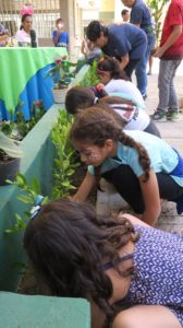 Fundación AINCO recuperó áreas verdes para la comunidad de Mucuritas