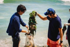 Fundación Yammine celebró el Día Mundial de las Playas con una jornada de limpieza
