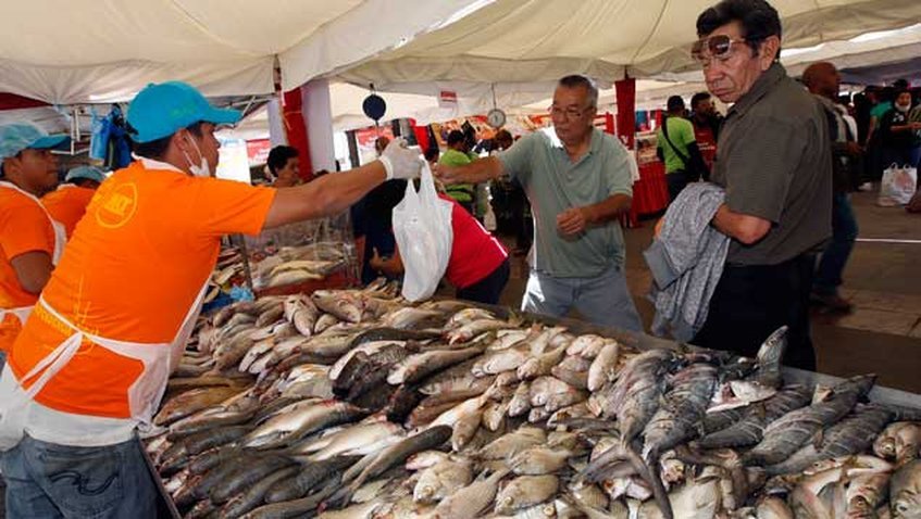 Abastecerán con pescado a precios accesibles