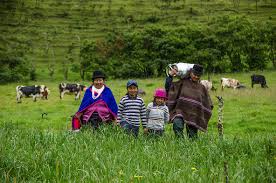 Colombia apuesta por las zonas rurales- Fundación Alpina