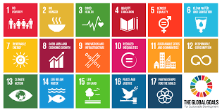 17 ODS camino hacia una Agenda Global 2030