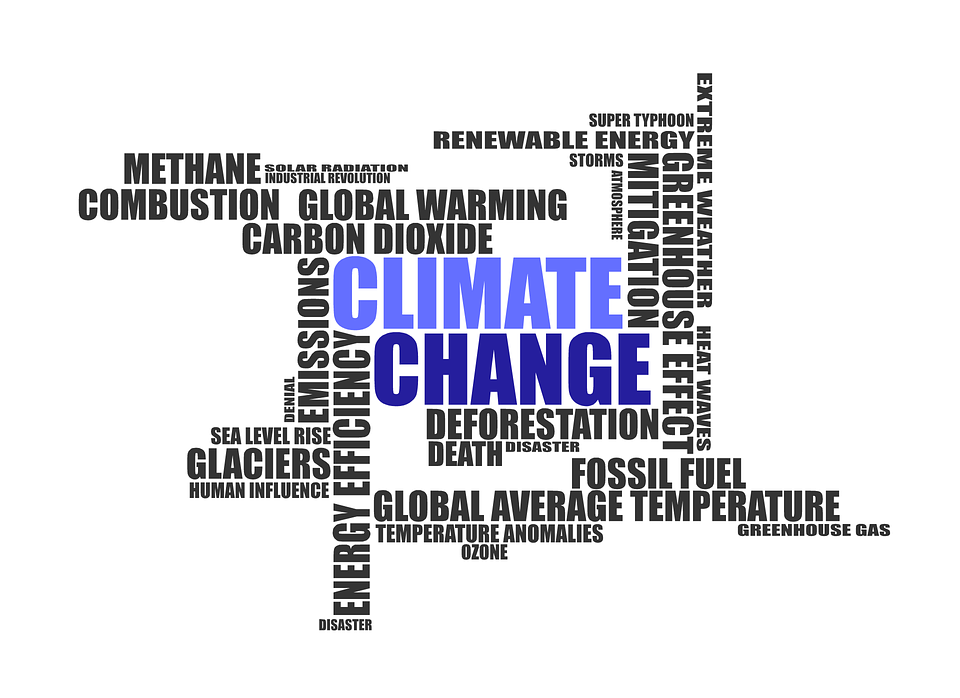 Telefónica, Danone, Unilever, L'Oréal y Suez, empresas líderes en el cambio climático