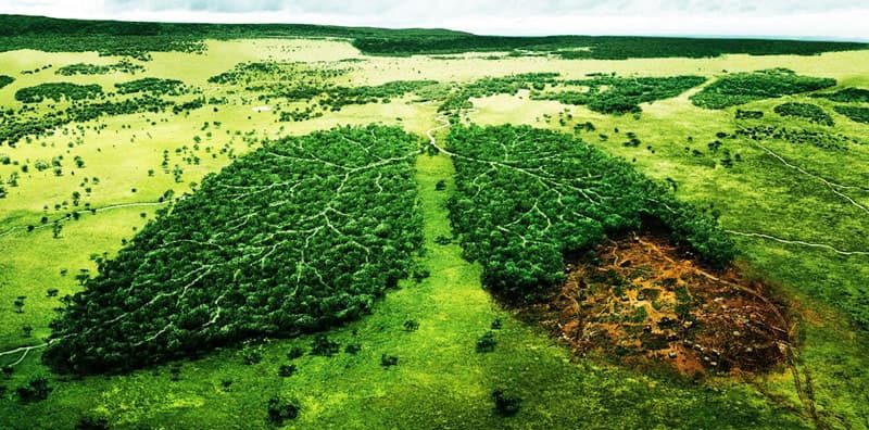 HBO y Leonardo DiCaprio lanzan nuevo documental ecologista