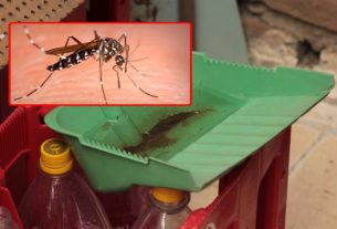Fundación AINCO nos muestra cómo evitar el dengue en las comunidades