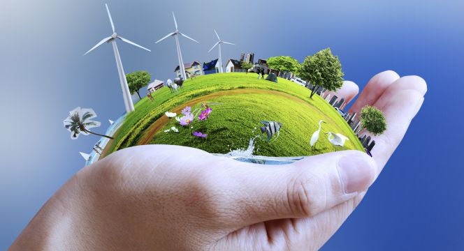 Cartageneros alzan la voz por el medio ambiente