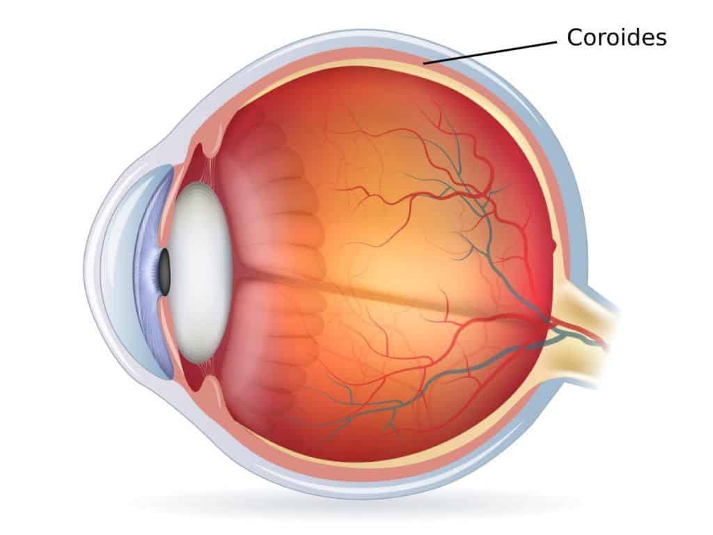La medicina ocular desarrolla tratamientos alternativos