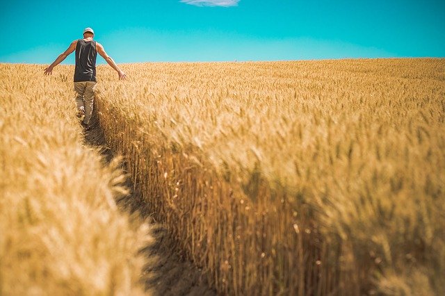 Bayer hace de la captación de carbono una nueva oportunidad en la agricultura