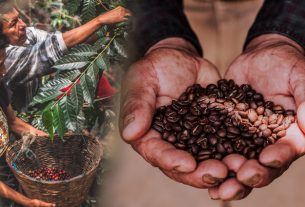 Cómo saber si tu taza de café es sustentable