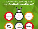¿Que marcas de maquillaje son Cruelty-Free en México?