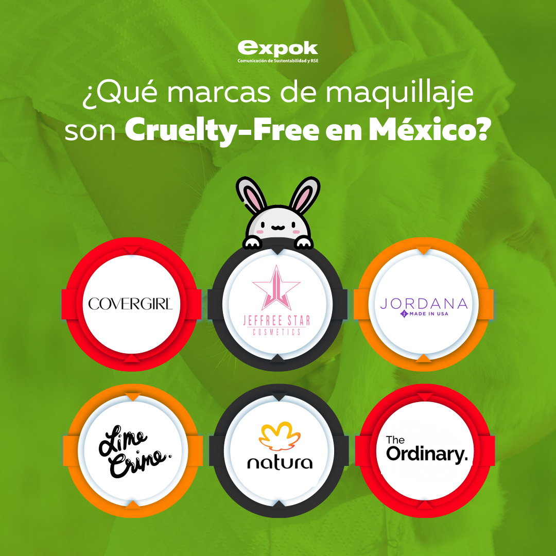 ¿Que marcas de maquillaje son Cruelty-Free en México?