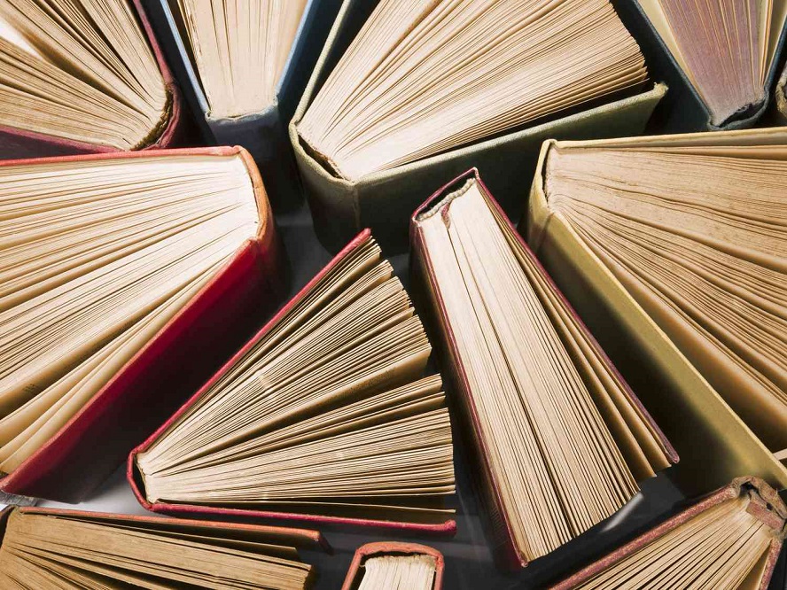 Javier Ceballos Jiménez - ¡Entérate! ¡Éstos son los principales subgéneros literarios! - FOTO