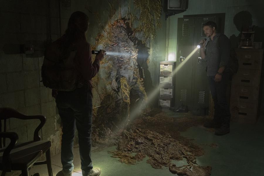 El hongo Cordyceps de "The Last of Us" existe ¿Es una amenaza?