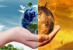 La conservación del ambiente, práctica fundamental para el cuidado del planeta