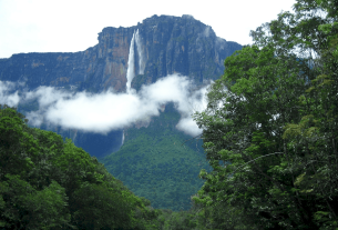 Problemas ambientales por los cuales atraviesa el Parque Nacional Canaima
