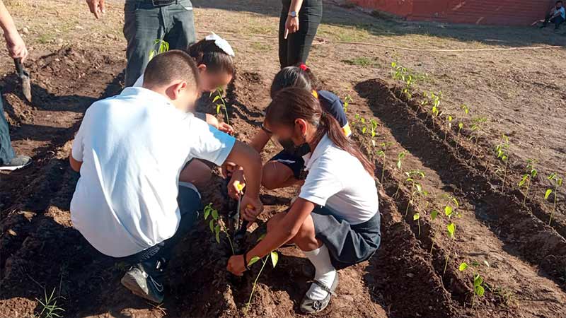 Futuro saludable y sostenible con huertos