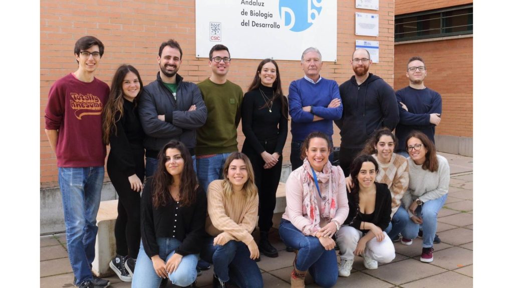 Síndrome MELAS investigación