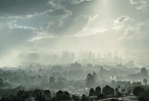 Fundación Yammine - Contaminación del aire; Causas y consecuencias - FOTO