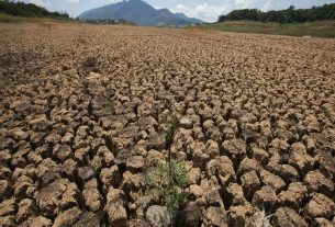 Fundación Yammine - ¡Entérate! ¡Estas son las graves consecuencias de la sequía en Venezuela! - FOTO