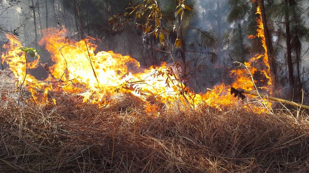 Inameh advirtió sobre el riesgo de incendios en estados llaneros