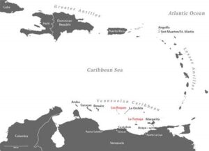 Tadeo Arosio: diferencia entre los Roques y la isla la tortuga