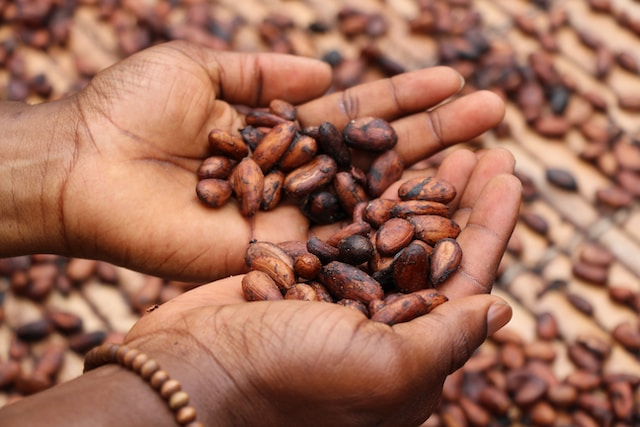 La industria chocolatera explota a los productores y productoras de cacao de Ghana