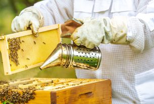 Apirrescate, una línea de acción para proteger a las abejas en la Gran Caracas