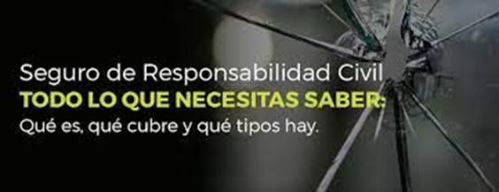 image 5 - Qué es un Seguro de Responsabilidad Civil para Empresas y por qué es Importante Tenerlo: Protegiendo tu Negocio ante los Riesgos