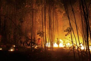 Registraron 22 incendios forestales en 24 horas en la capital de Ecuador
