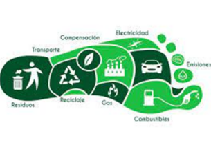 acciones para combatir el cambio climático – Fundación Yammine