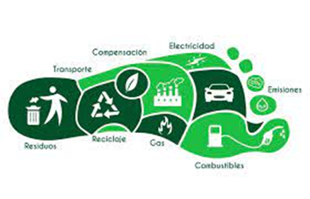 acciones para combatir el cambio climático – Fundación Yammine