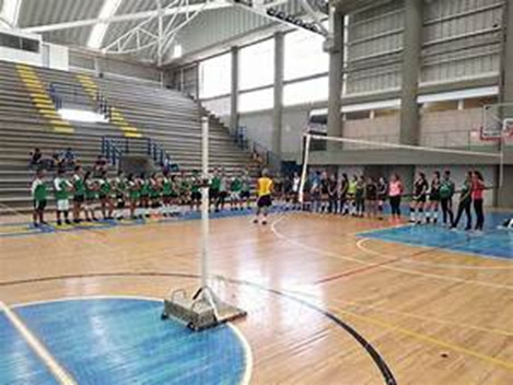 image 2 - Qué Capacidades Determinan el Talento Deportivo: Un Análisis Profundo