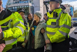Detuvieron a la activista Greta Thunberg en una manifestación en Londres
