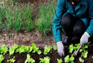 Fundación Yammine - Agricultura ecológica ¡Apuesta segura para la sostenibilidad empresarial! - FOTO