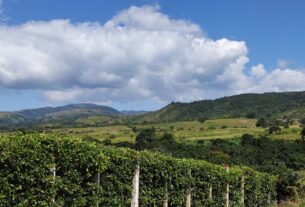 Yaracuy destaca sus potencialidades como destino turístico