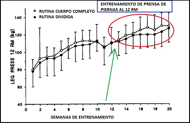leg press - Sebastian Cano Caporales: 3 formas de organizar tu Entrenamiento de Fuerza – Corporal Kinesis