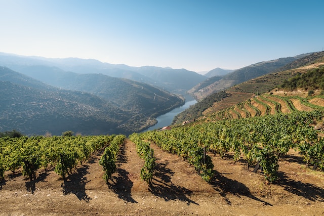 Latinoamérica podría navegar las oportunidades del carbono agrícola