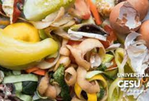 Cómo Reducir el Desperdicio de Alimentos y Contribuir a la Seguridad Alimentaria