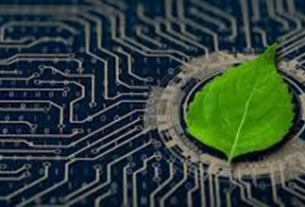 Un futuro sostenible en tus manos – Fundación Yammine