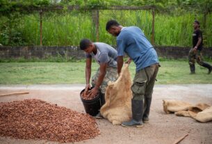 Agricultores de Venezuela claman por financiamiento bancario y combustible