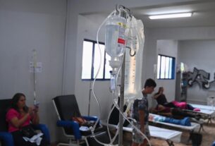 Río de Janeiro declara «estado de emergencia» ante aumento de casos de dengue