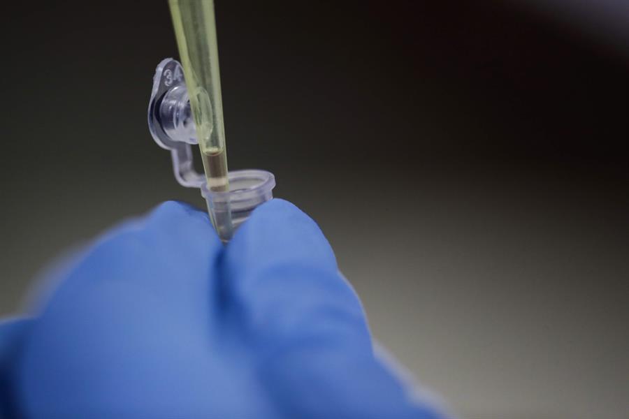 Un nuevo anticuerpo logra bloquear todas las variantes del SARS-CoV-2