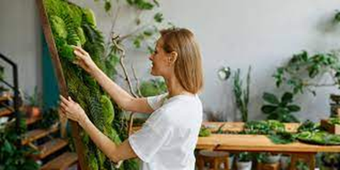 Cómo Transformar Espacios con Paisajismo: La Magia de la Naturaleza en tu Hogar