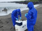 Reabren turismo en dos zonas de las islas Galápagos tras descartar gripe aviar