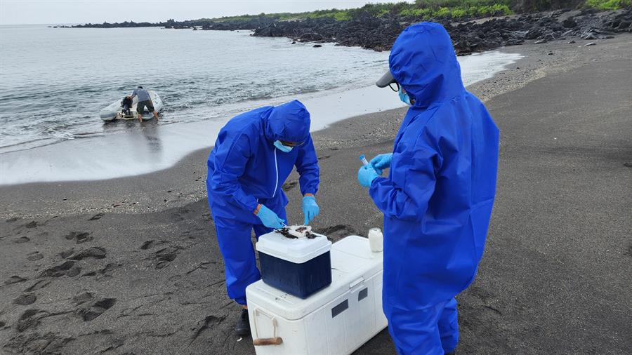 Reabren turismo en dos zonas de las islas Galápagos tras descartar gripe aviar