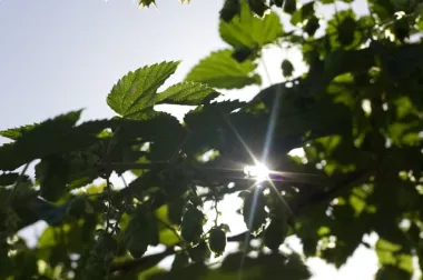 Recomendaciones para alcanzar el éxito en la gestión ambiental en la empresa
