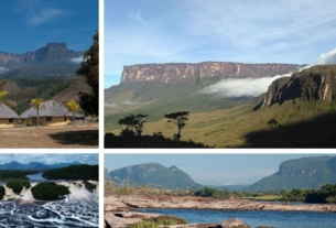 Descubriendo la exuberante vegetación del Parque Canaima 