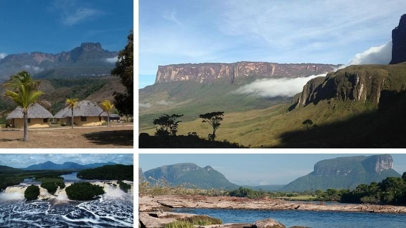 Descubriendo la exuberante vegetación del Parque Canaima 