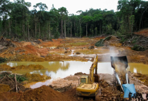 El Impacto Ambiental en Venezuela: Desafíos y Perspectivas para la Conservación 