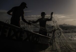 WWF: Países de la UE subsidian empleos que dañan la naturaleza