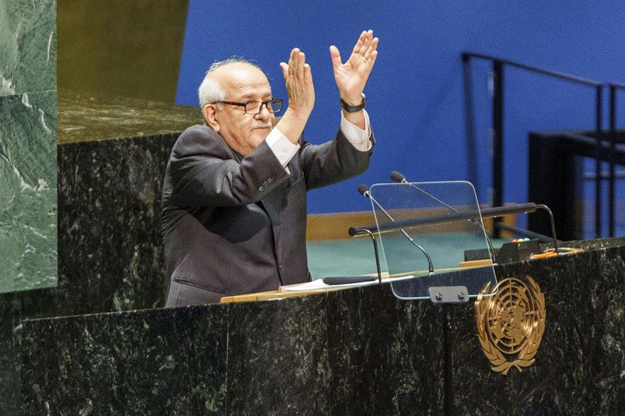 ONU - Palestina